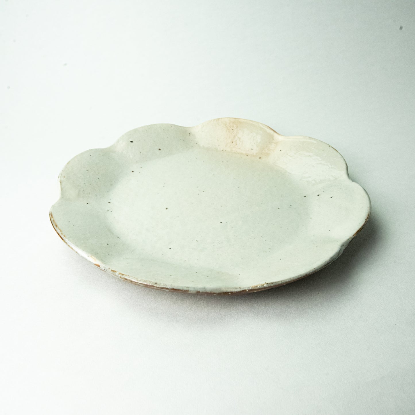 Shigaraki ware, Furutani Seitosho, Iron scattering, Ring flower plate, medium size (22cm)