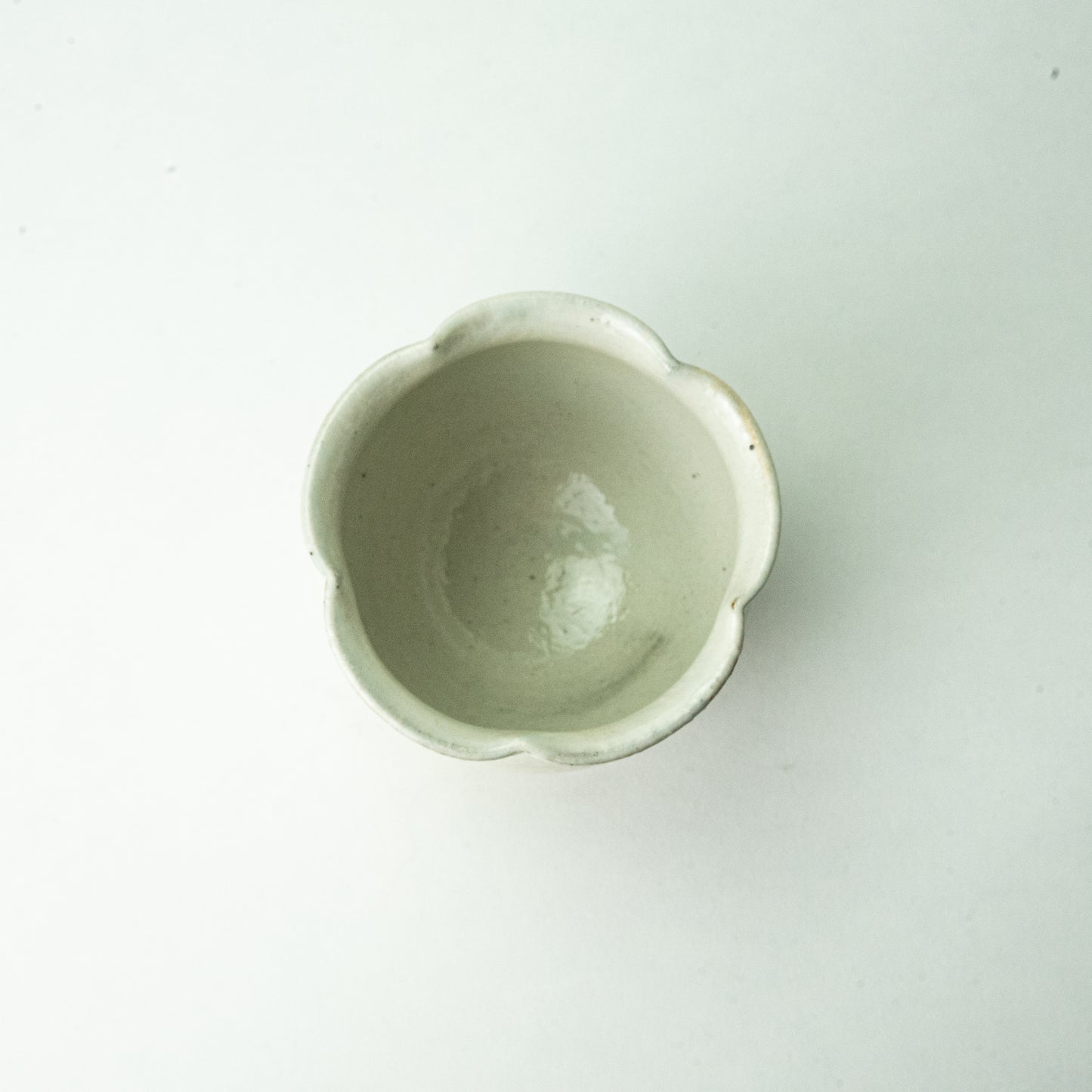 Shigaraki ware, Furutani Pottery, Iron scattering, Ring flower yunomi