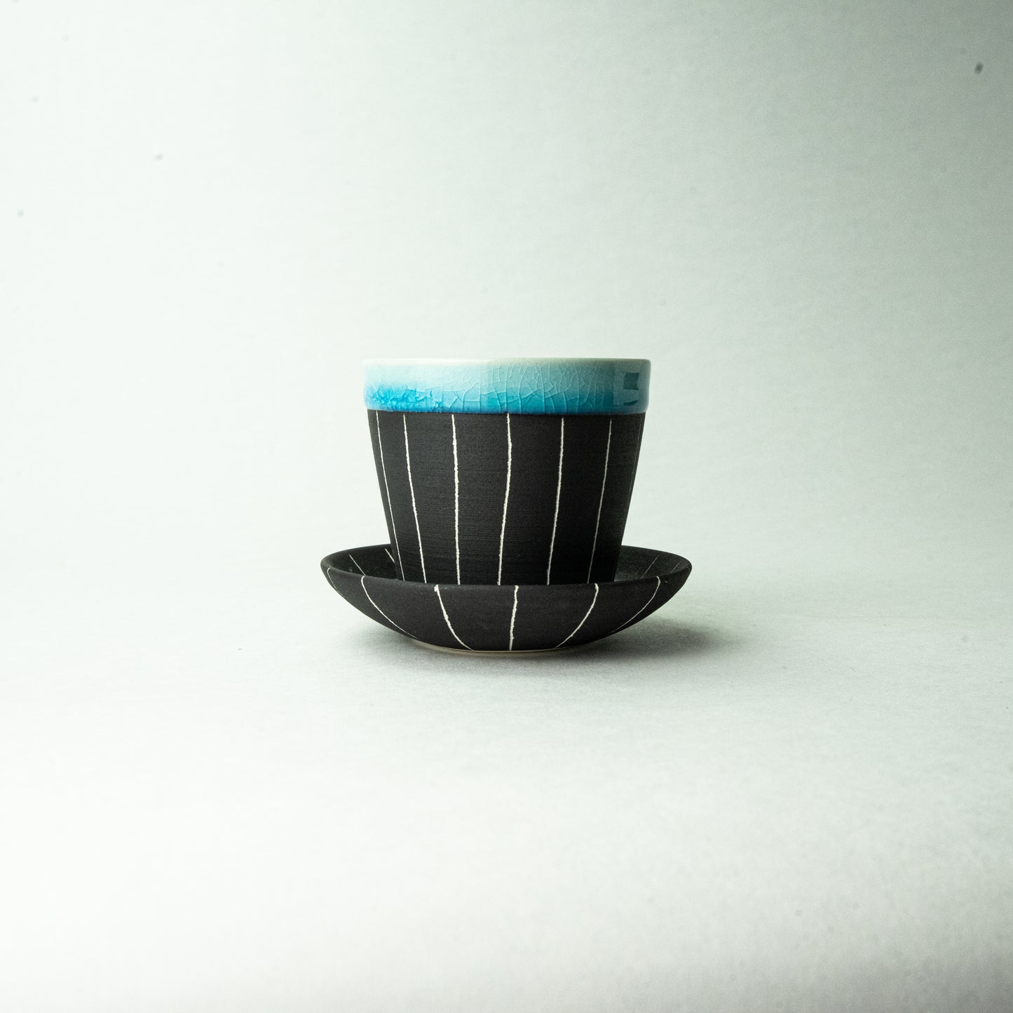 Shigaraki ware Maruju Seito Color C/S Blue